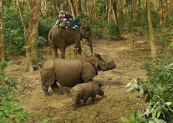 Bardiya Jungle Safari
